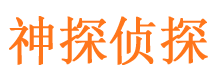 武侯侦探公司